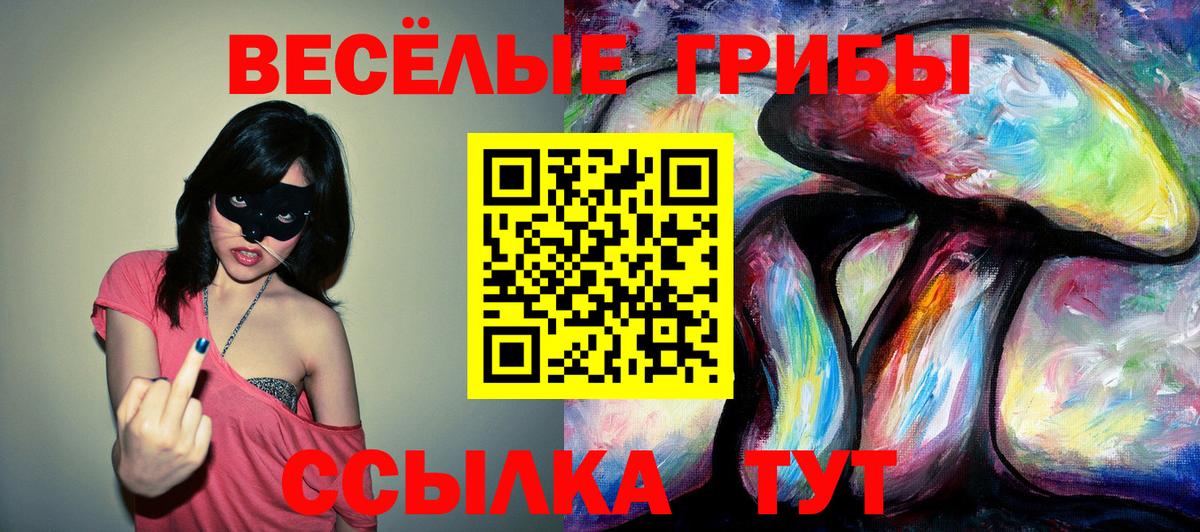 Псилоцибиновые грибы мицелий  Вход с VPN  Энгельс 